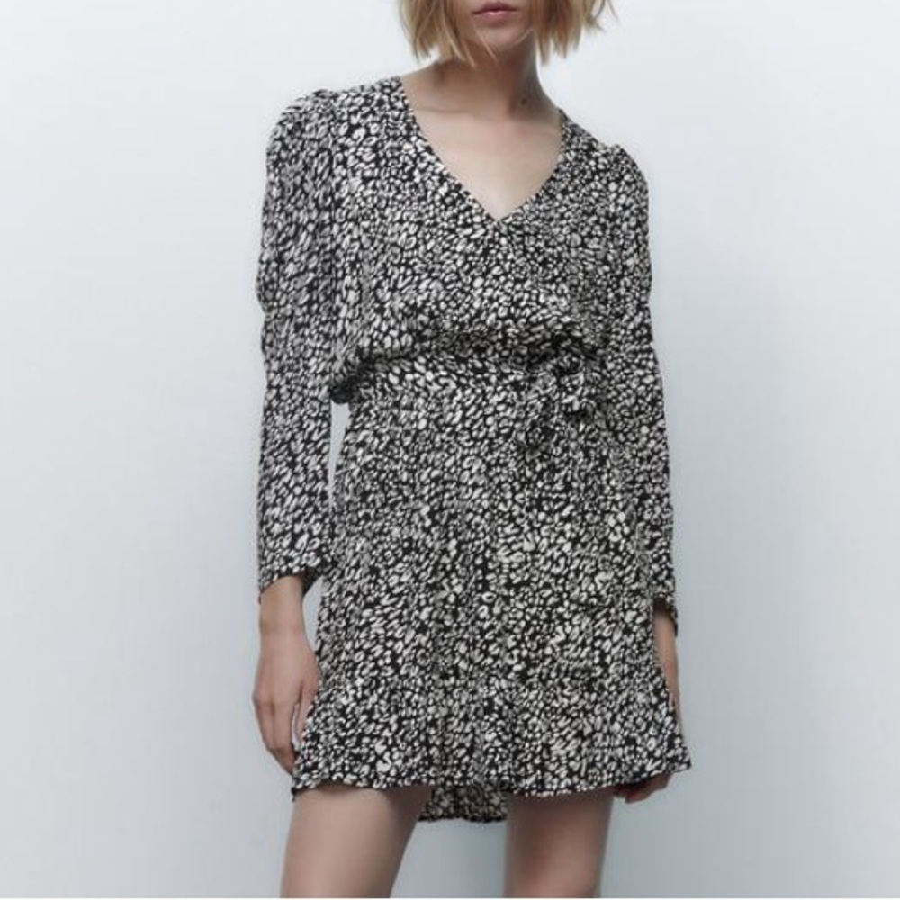 Zara | Animal Print Mini Dress